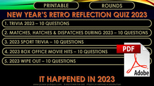 Retro 2023 Reflection Quiz - Printable PDF Format